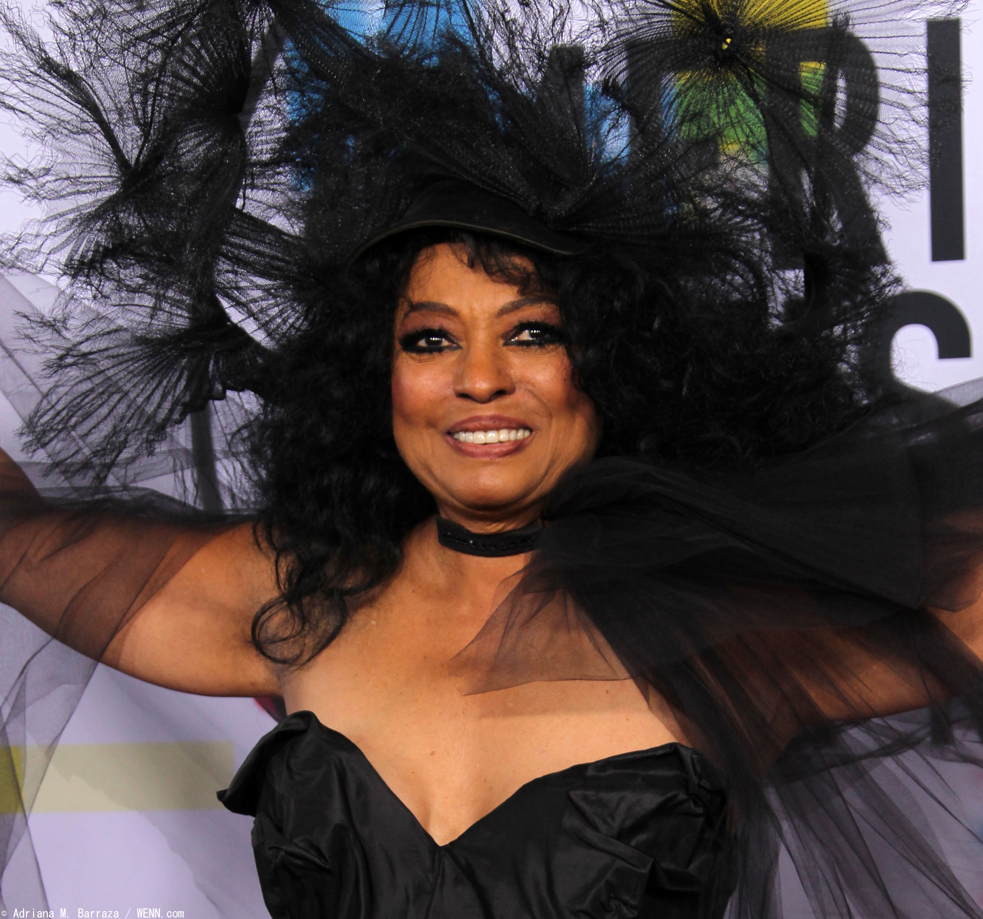 OKJDianaRoss1_1