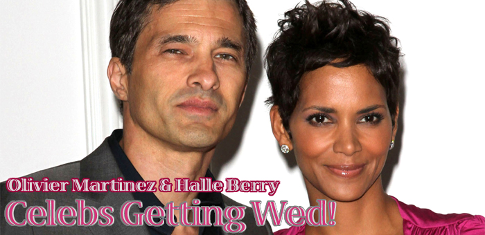 Halle BerryTop.jpg