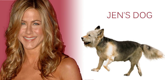 jen.jpg