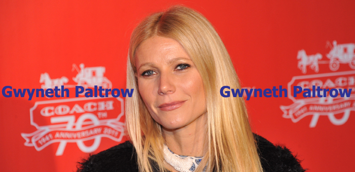 Gwyneth PaltrowTop.jpg