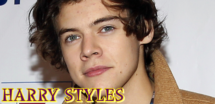 Harry StylesTop.jpg