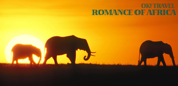 ROMANCE OF AFRICATop.jpg