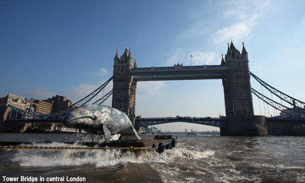 3_Tower Bridge1.jpg